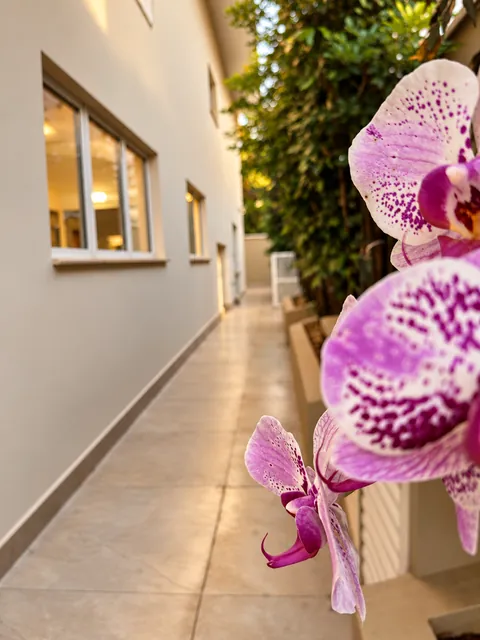 Corredor lateral com orquídeas, casa à venda no Condomínio Magnólias I em Araraquara